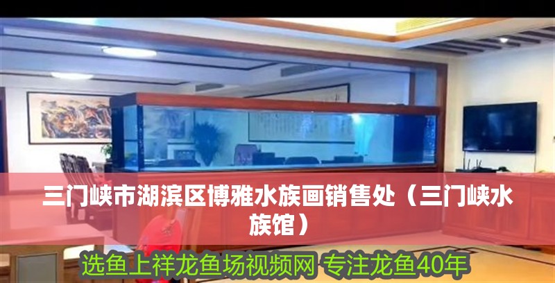三門峽市湖濱區(qū)博雅水族畫銷售處（三門峽水族館）