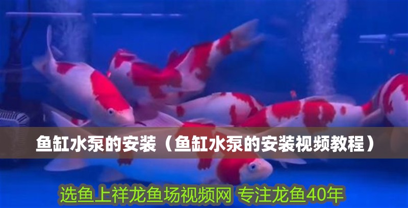 魚缸水泵的安裝（魚缸水泵的安裝視頻教程）