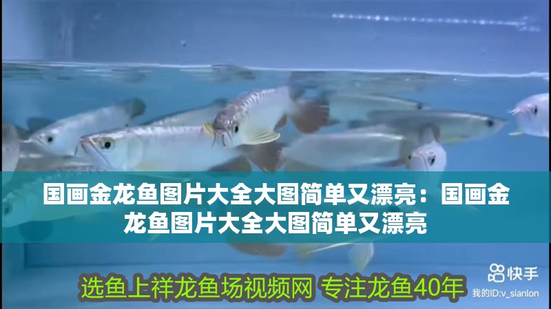 國畫金龍魚圖片大全大圖簡單又漂亮：國畫金龍魚圖片大全大圖簡單又漂亮
