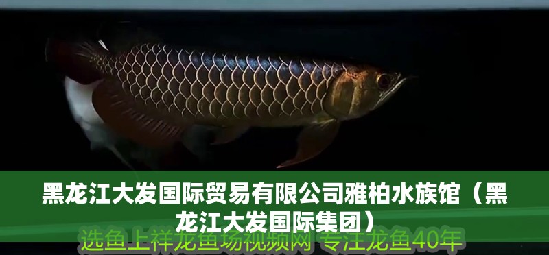黑龍江大發(fā)國際貿(mào)易有限公司雅柏水族館（黑龍江大發(fā)國際集團）