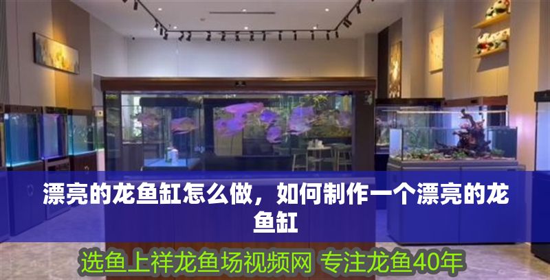 漂亮的龍魚缸怎么做，如何制作一個漂亮的龍魚缸
