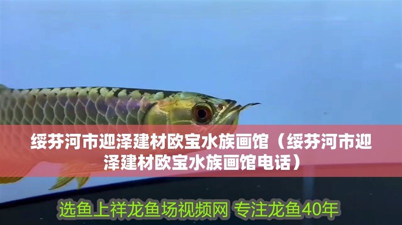 綏芬河市迎澤建材歐寶水族畫館（綏芬河市迎澤建材歐寶水族畫館電話）