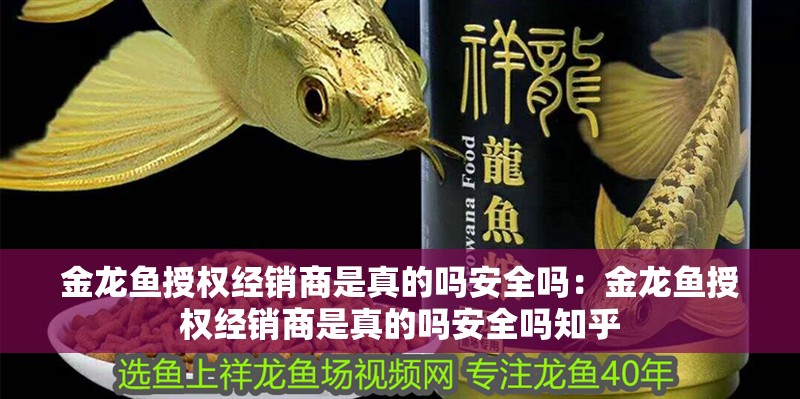 金龍魚授權經銷商是真的嗎安全嗎：金龍魚授權經銷商是真的嗎安全嗎知乎