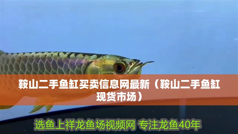 鞍山二手魚缸買賣信息網最新（鞍山二手魚缸現貨市場）