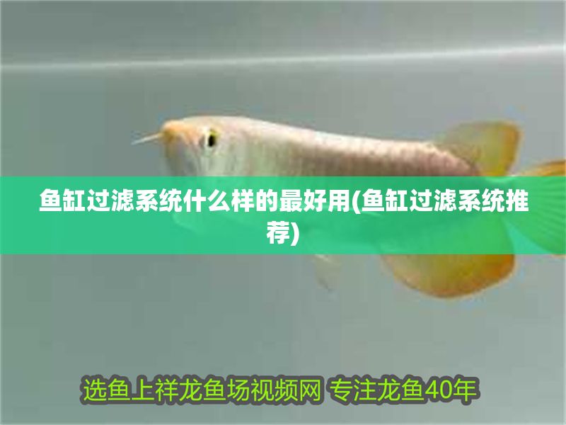 魚缸過濾系統什么樣的最好用(魚缸過濾系統推薦)