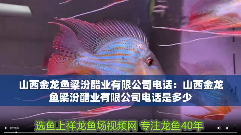 山西金龍魚梁汾醋業有限公司電話：山西金龍魚梁汾醋業有限公司電話是多少