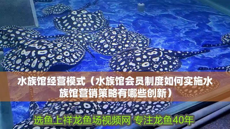 水族館經營模式（水族館會員制度如何實施水族館營銷策略有哪些創新）