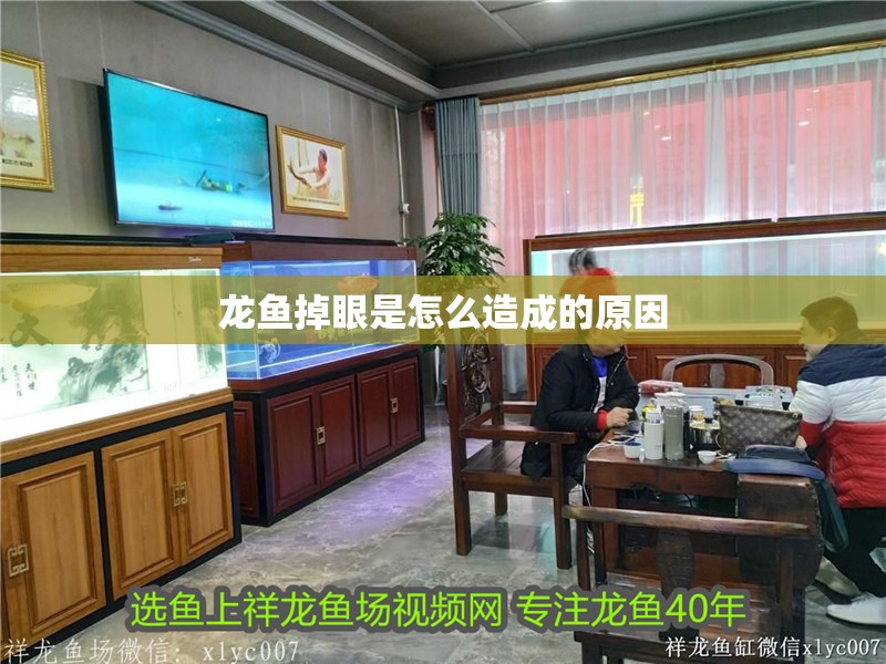龍魚掉眼是怎么造成的原因