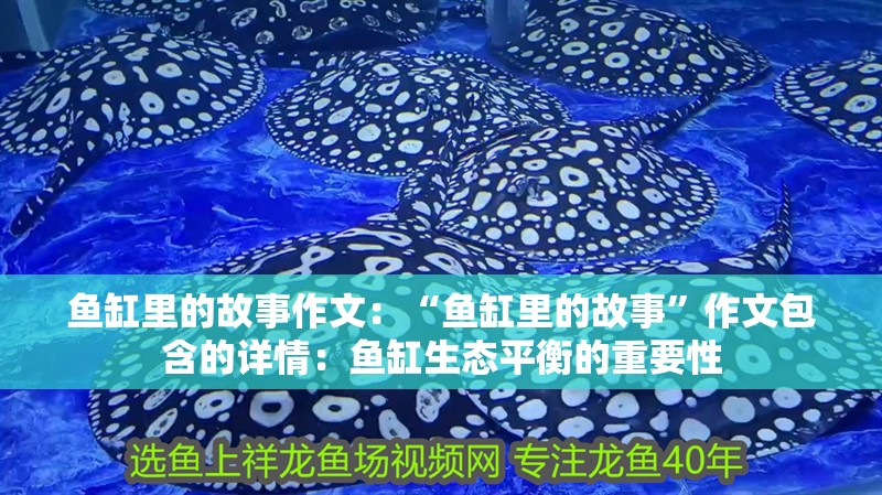 魚缸里的故事作文：“魚缸里的故事”作文包含的詳情：魚缸生態平衡的重要性