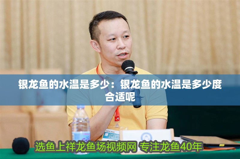 銀龍魚的水溫是多少：銀龍魚的水溫是多少度合適呢