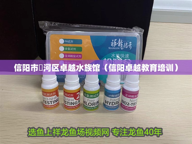 信陽市浉河區卓越水族館（信陽卓越教育培訓）