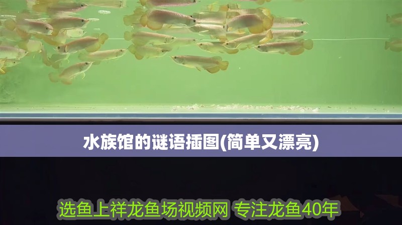 水族館的謎語插圖(簡單又漂亮)