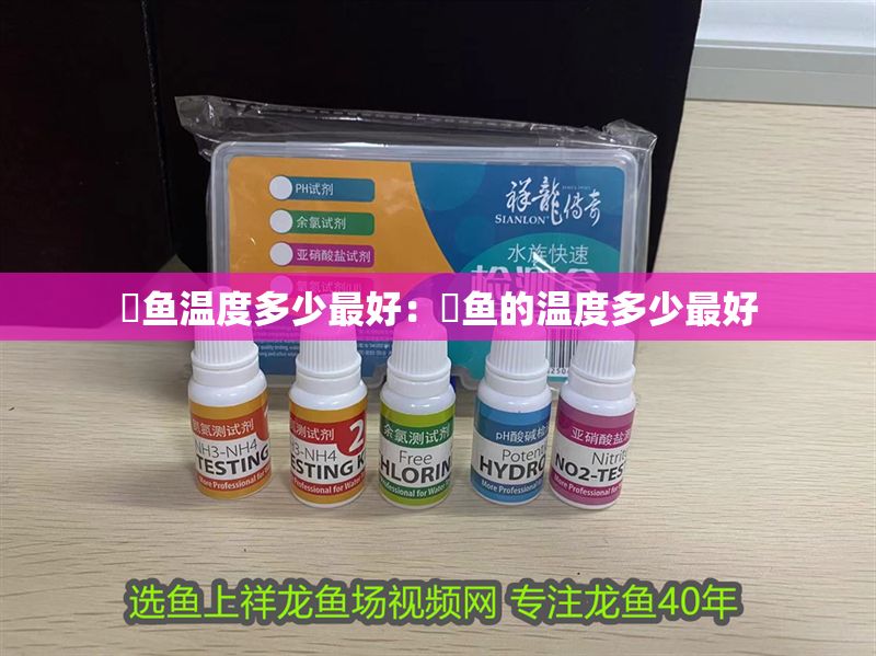 魟魚溫度多少最好：魟魚的溫度多少最好