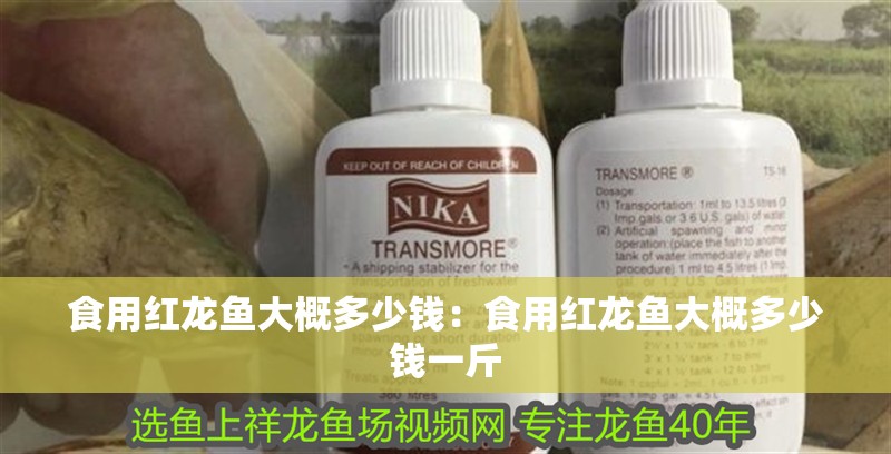 食用紅龍魚大概多少錢：食用紅龍魚大概多少錢一斤