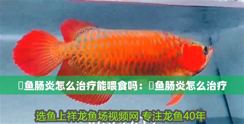 魟魚腸炎怎么治療能喂食嗎：魟魚腸炎怎么治療