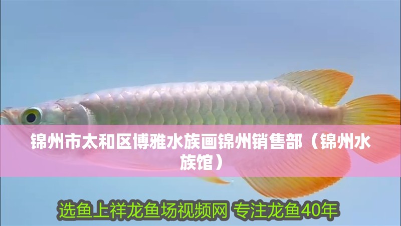 錦州市太和區(qū)博雅水族畫錦州銷售部（錦州水族館）