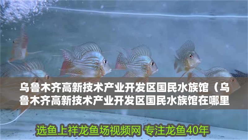 烏魯木齊高新技術(shù)產(chǎn)業(yè)開發(fā)區(qū)國(guó)民水族館（烏魯木齊高新技術(shù)產(chǎn)業(yè)開發(fā)區(qū)國(guó)民水族館在哪里）