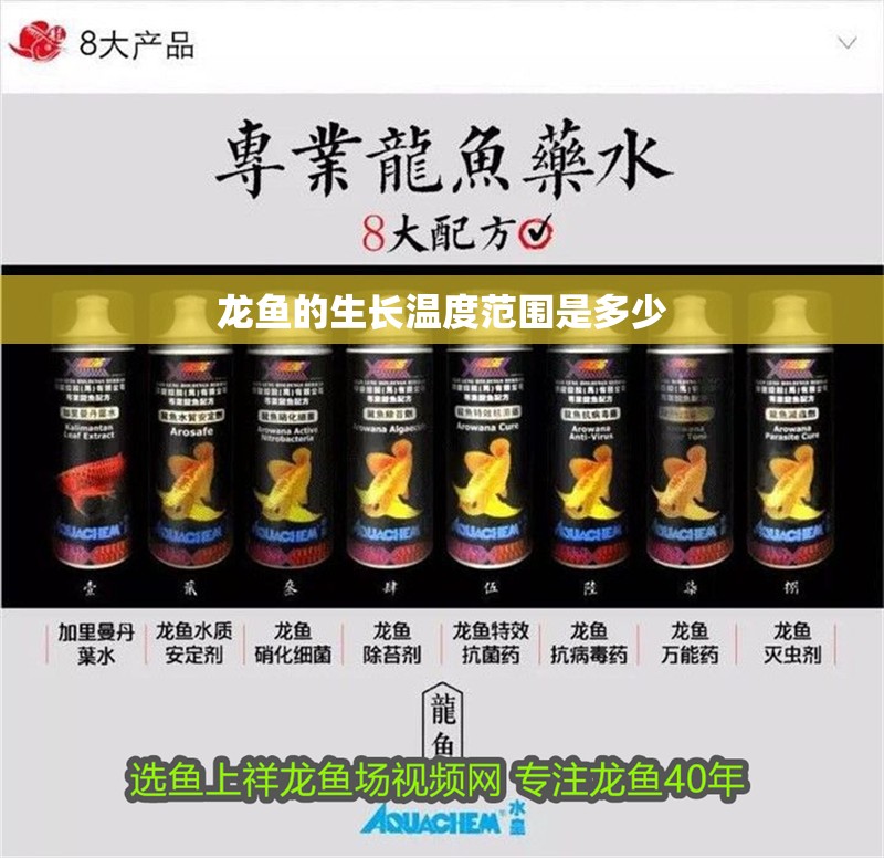 龍魚的生長溫度范圍是多少