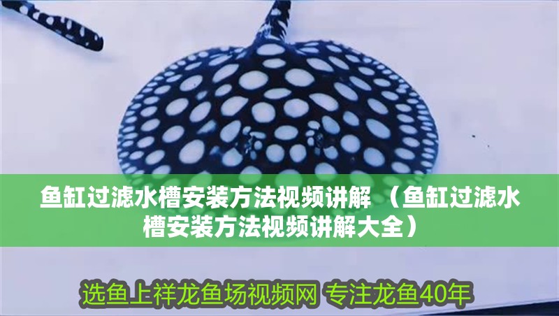 魚缸過濾水槽安裝方法視頻講解 （魚缸過濾水槽安裝方法視頻講解大全）