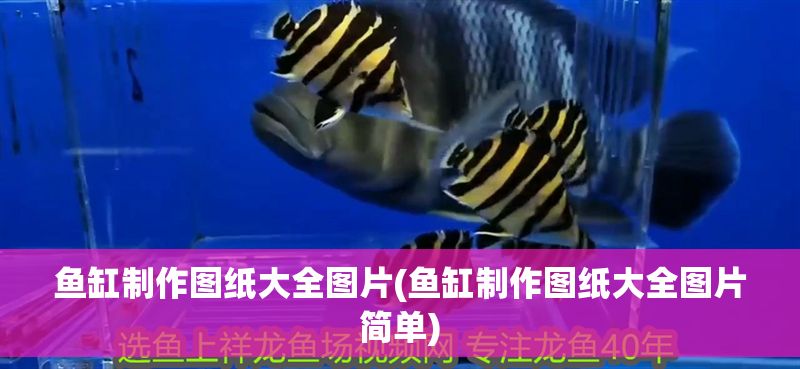 魚缸制作圖紙大全圖片(魚缸制作圖紙大全圖片簡單)