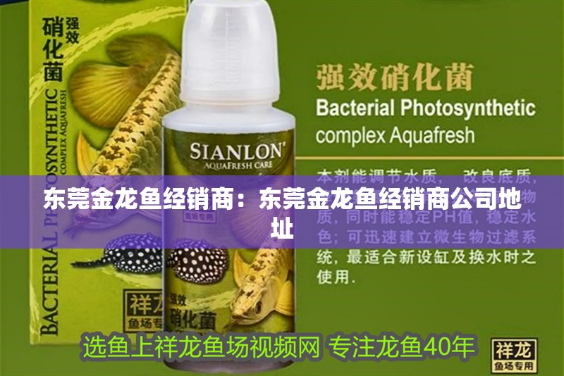 東莞金龍魚經銷商:東莞金龍魚經銷商公司地址 水族問答 東莞金龍魚經銷商:東莞金龍魚經銷商公司地址 東莞金龍魚經銷商:東莞金龍魚經銷商公司地址 水族問答
