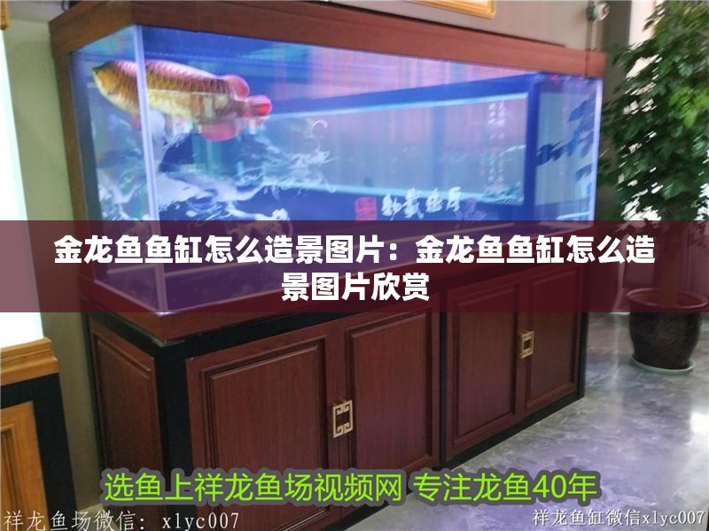 金龍魚魚缸怎么造景圖片：金龍魚魚缸怎么造景圖片欣賞 金龍魚魚缸怎么造景圖片：金龍魚魚缸怎么造景圖片欣賞 水族問答