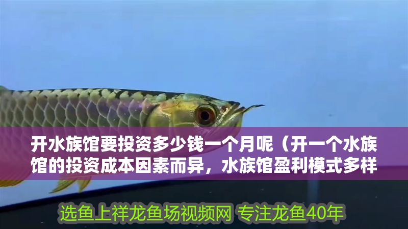 開水族館要投資多少錢一個月呢（開一個水族館的投資成本因素而異，水族館盈利模式多樣化策略）