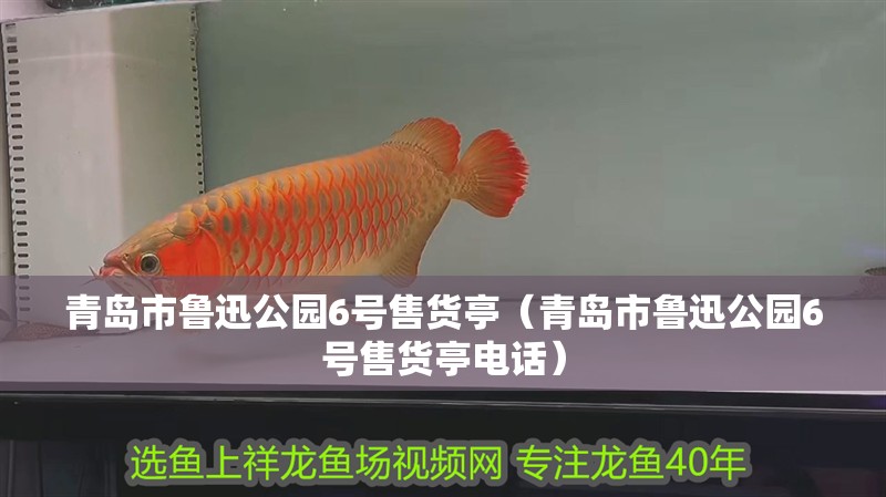 青島市魯迅公園6號售貨亭（青島市魯迅公園6號售貨亭電話）