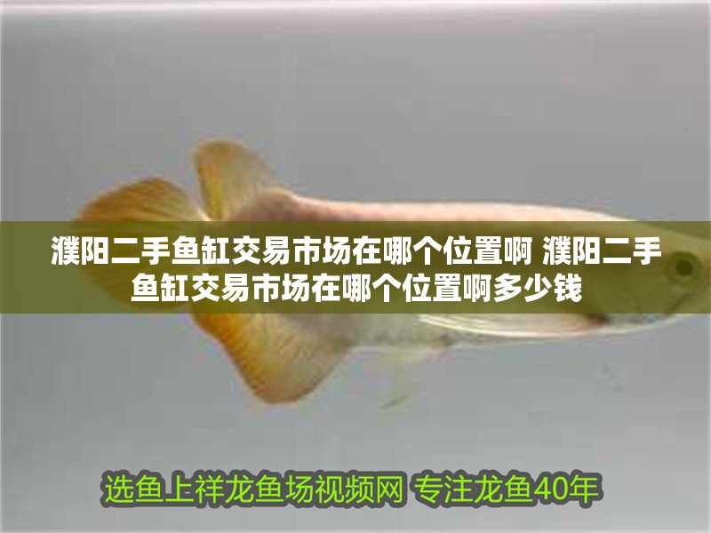 魚缸過濾器選購指南:自制魚缸過濾器魚缸上置過濾器對于養魚愛好者的必備知識 濮陽二手魚缸交易市場在哪個位置啊 濮陽二手魚缸交易市場在哪個位置啊多少錢 觀賞魚百科 濮陽二手魚缸交易市場在哪個位置啊 濮陽二手魚缸交易市場在哪個位置啊多少錢 濮陽二手魚缸交易市場在哪個位置啊 濮陽二手魚缸交易市場在哪個位置啊多少錢 觀賞魚百科