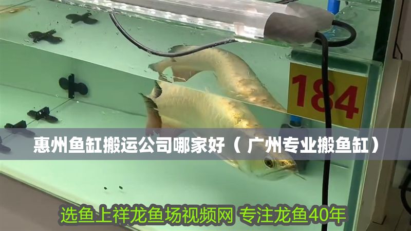 惠州魚缸搬運(yùn)公司哪家好（ 廣州專業(yè)搬魚缸）