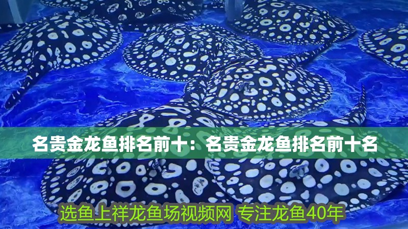 名貴金龍魚排名前十：名貴金龍魚排名前十名