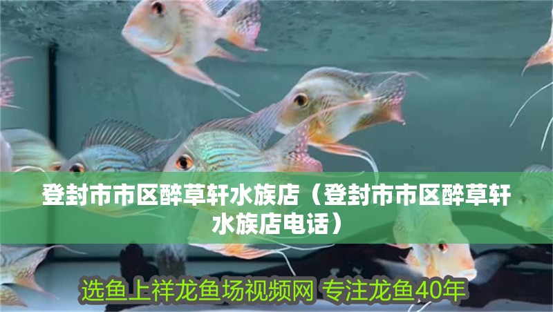 登封市市區(qū)醉草軒水族店（登封市市區(qū)醉草軒水族店電話） 登封市市區(qū)醉草軒水族店（登封市市區(qū)醉草軒水族店電話） 全國水族館企業(yè)名錄 第2張