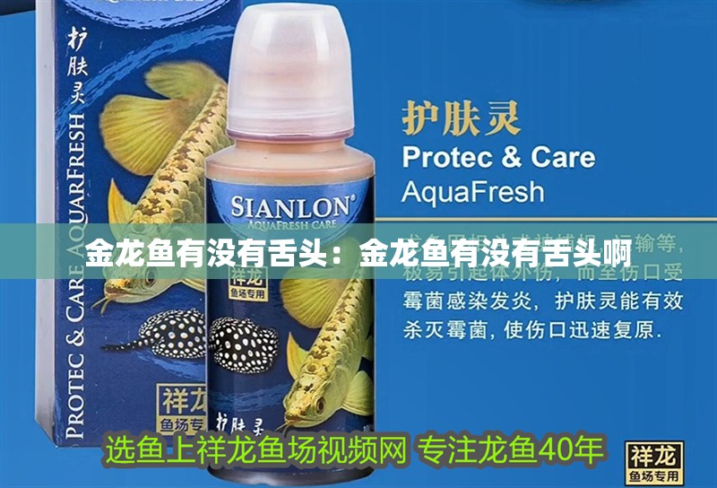 金龍魚有沒有舌頭：金龍魚有沒有舌頭啊 金龍魚有沒有舌頭：金龍魚有沒有舌頭啊 水族問答