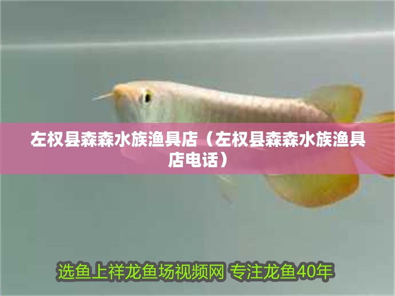 左權縣森森水族漁具店（左權縣森森水族漁具店電話）