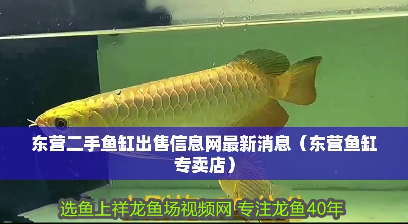 東營二手魚缸出售信息網最新消息（東營魚缸專賣店）