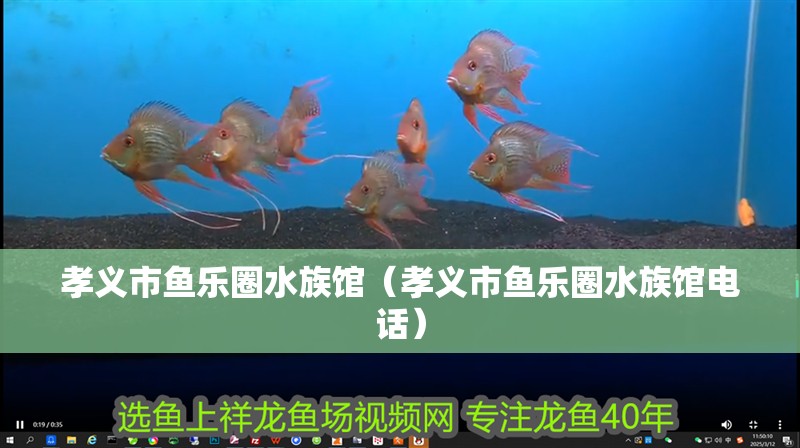 孝義市魚樂圈水族館（孝義市魚樂圈水族館電話）