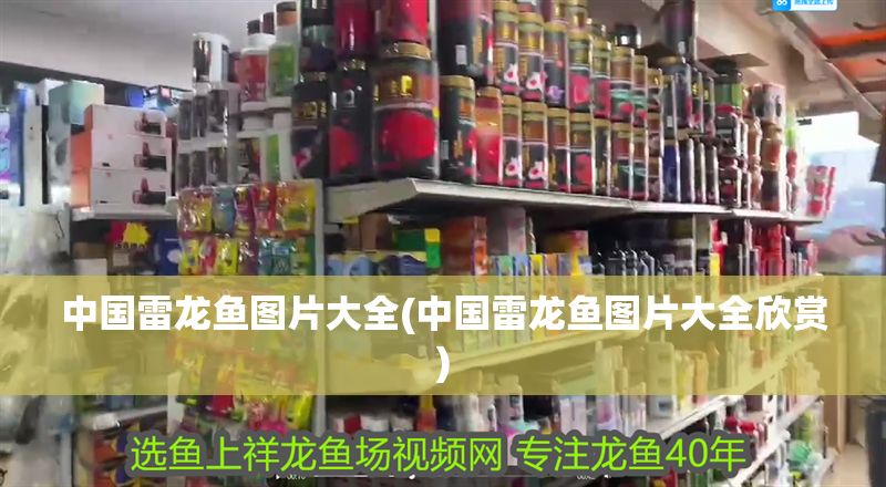 中國雷龍魚圖片大全(中國雷龍魚圖片大全欣賞)