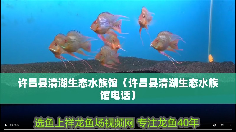 許昌縣清湖生態水族館（許昌縣清湖生態水族館電話）