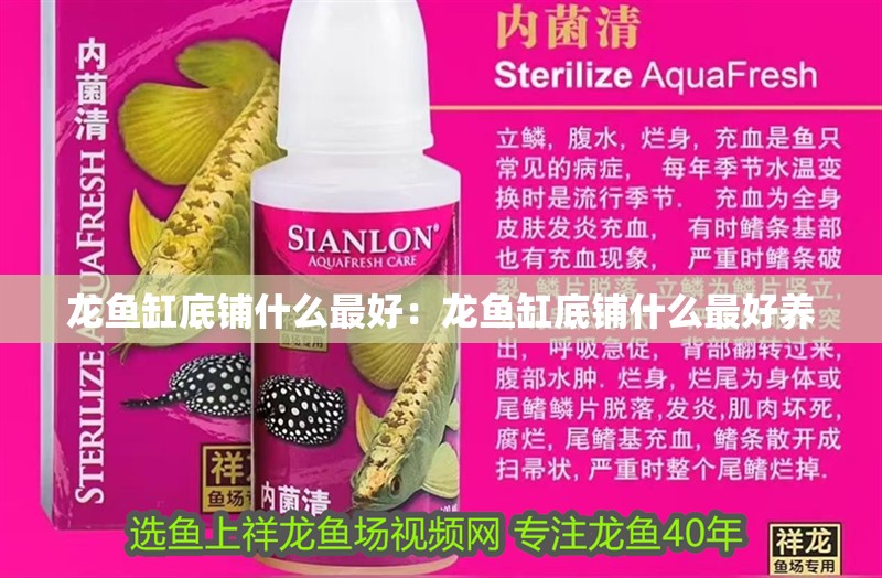 龍魚缸底鋪什么最好：龍魚缸底鋪什么最好養