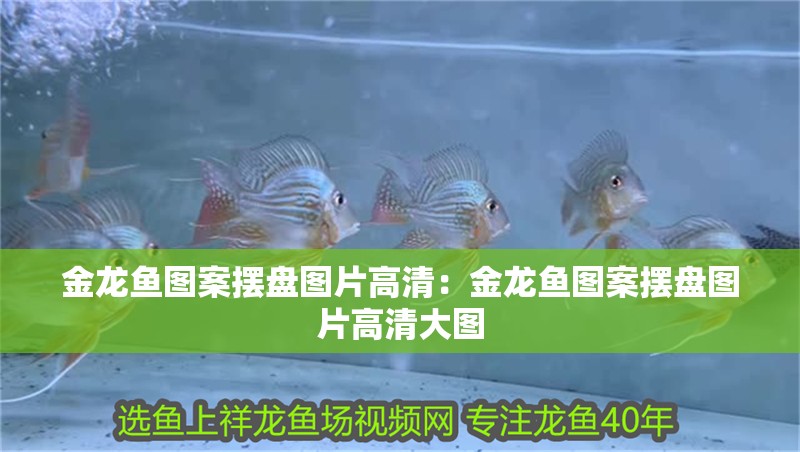 金龍魚圖案擺盤圖片高清：金龍魚圖案擺盤圖片高清大圖