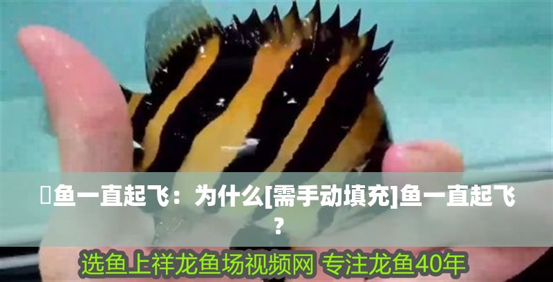 魟魚一直起飛：為什么[需手動填充]魚一直起飛？