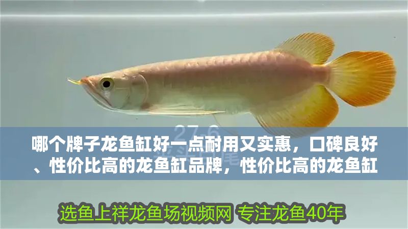 哪個牌子龍魚缸好一點耐用又實惠,口碑良好、性價比高的龍魚缸品牌,性價比高的龍魚缸品牌 魚缸百科 第1張 哪個牌子龍魚缸好一點耐用又實惠,口碑良好、性價比高的龍魚缸品牌,性價比高的龍魚缸品牌 哪個牌子龍魚缸好一點耐用又實惠,口碑良好、性價比高的龍魚缸品牌,性價比高的龍魚缸品牌 魚缸百科 第1張