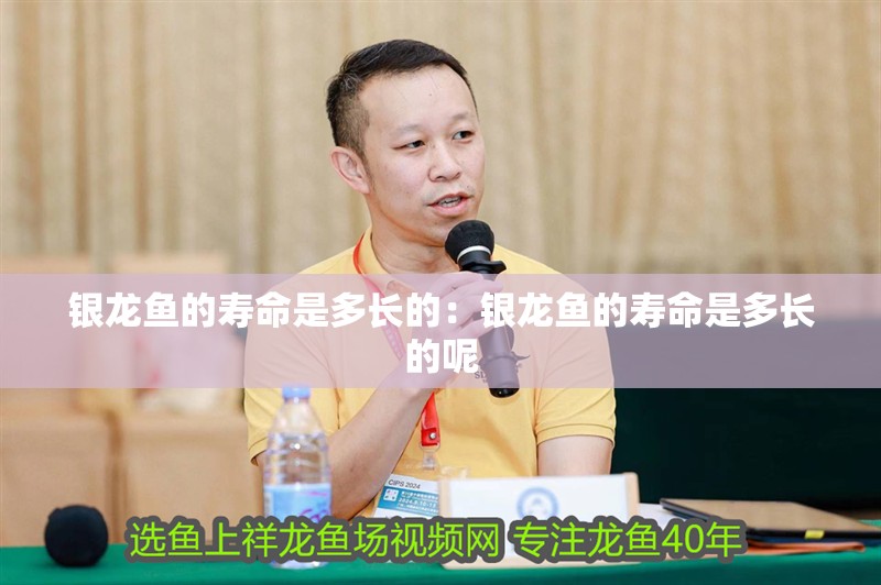 銀龍魚的壽命是多長(zhǎng)的：銀龍魚的壽命是多長(zhǎng)的呢
