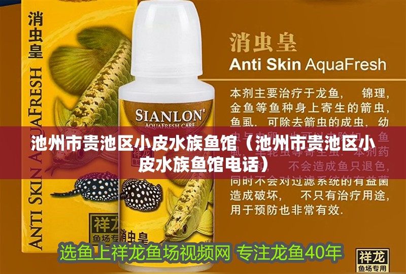 池州市貴池區小皮水族魚館（池州市貴池區小皮水族魚館電話）