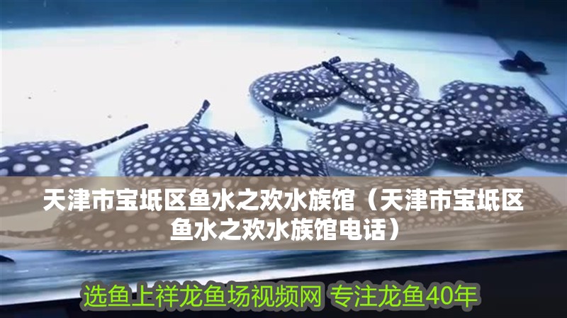 天津市寶坻區魚水之歡水族館（天津市寶坻區魚水之歡水族館電話）