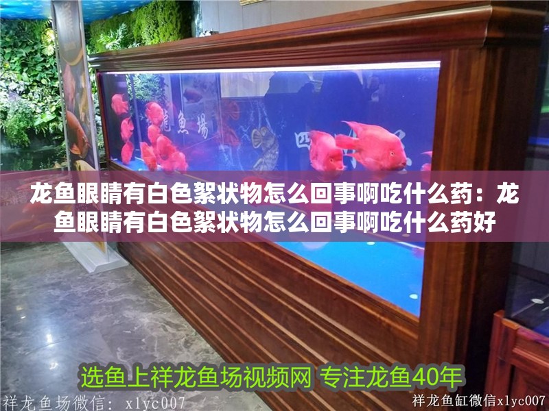 龍魚眼睛有白色絮狀物怎么回事啊吃什么藥：龍魚眼睛有白色絮狀物怎么回事啊吃什么藥好