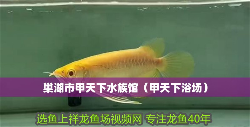 巢湖市甲天下水族館（甲天下浴場）