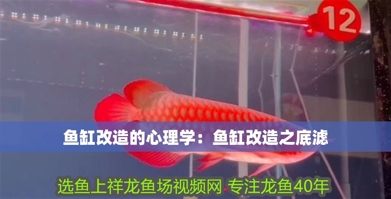魚缸改造的心理學：魚缸改造之底濾
