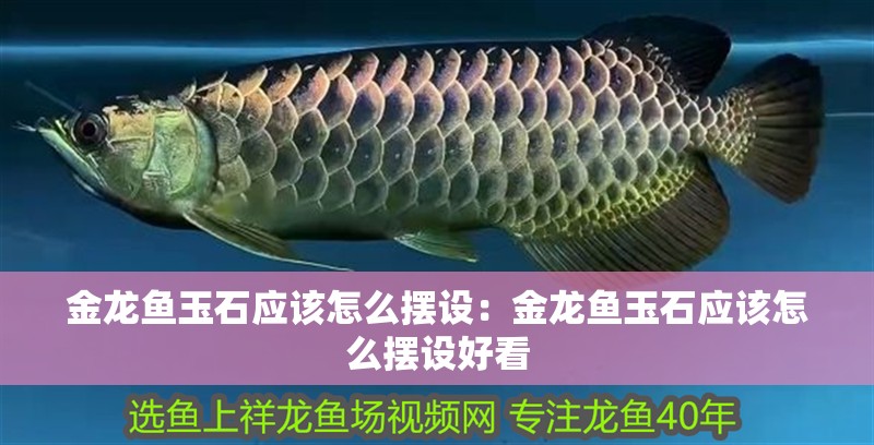 金龍魚玉石應該怎么擺設：金龍魚玉石應該怎么擺設好看