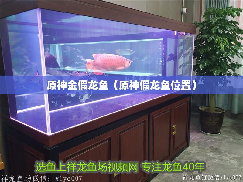 原神金假龍魚（原神假龍魚位置）